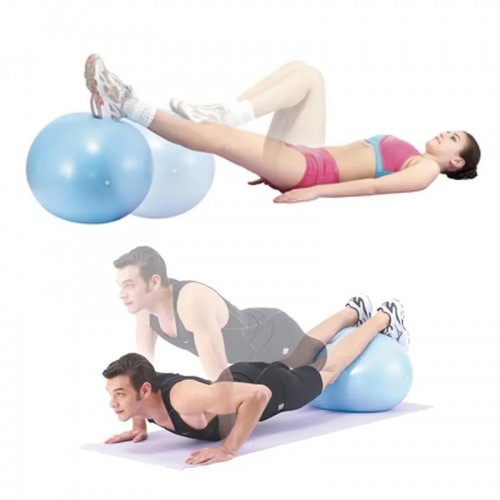 Goose Egg Gymball BR-5058 / 3