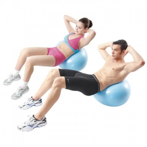 Goose Egg Gymball BR-5058 / 4