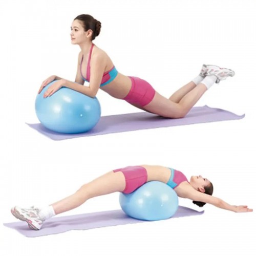 Goose Egg Gymball BR-5058 / 5