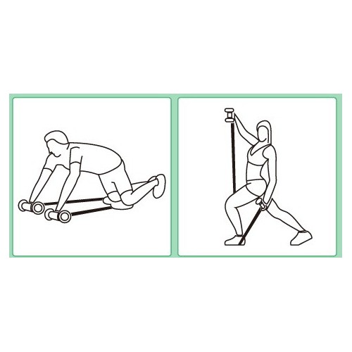 Multi-way Exercise Wheel / 2