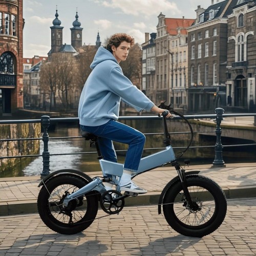 E-bike/All Terrain (Drift 20) / 2