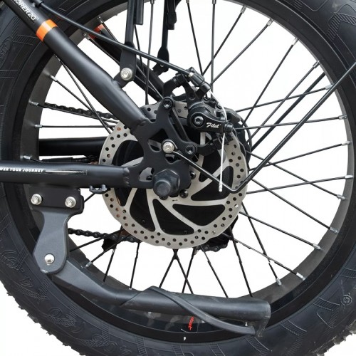 E-Bike/All Terrain (Xplorer20) / 4