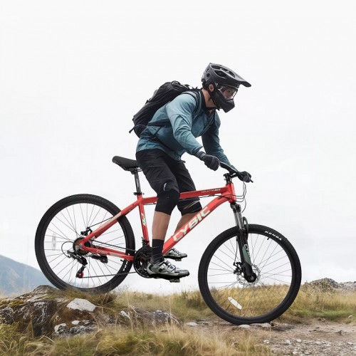 Bike/ City Bike (CY2326MTB)