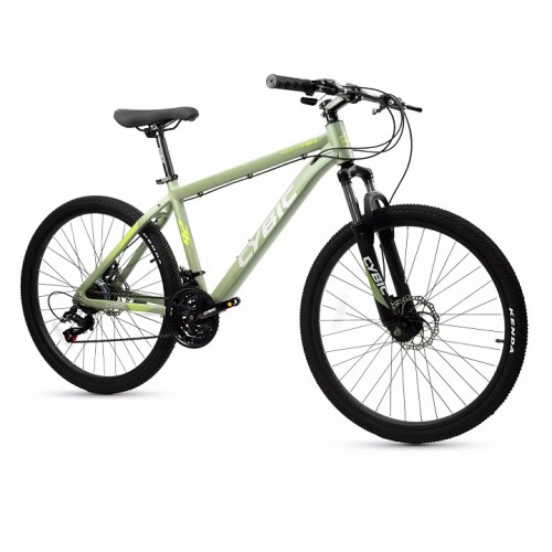 Bike/ City Bike (CY2326MTB) / 4