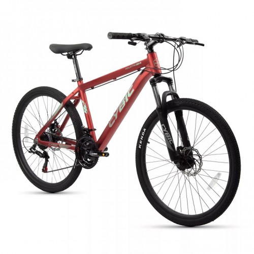 Bike/ City Bike (CY2326MTB) / 5
