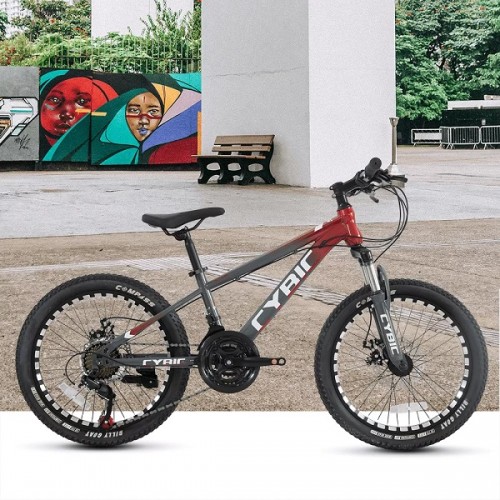 Kid Bike (CY2420kid)