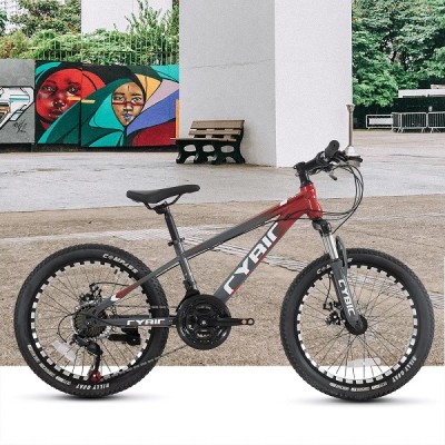 Kid Bike (CY2420kid)