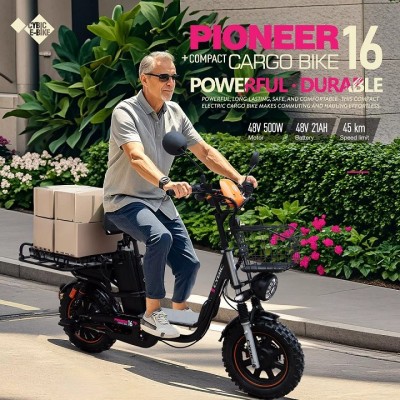 Cargo/tility (Pioneer 16)