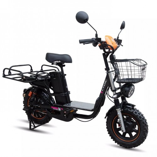 Cargo/tility (Pioneer 16) / 2