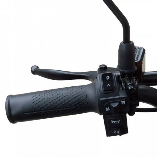 Cargo/tility (Pioneer 16) / 4