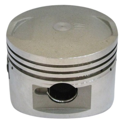 1101  新得意100, EASY 100 (12.7)