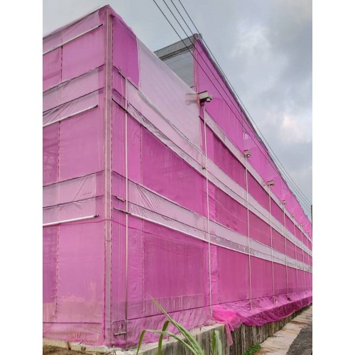 WA Peach Blossom and Fruit Net / 2