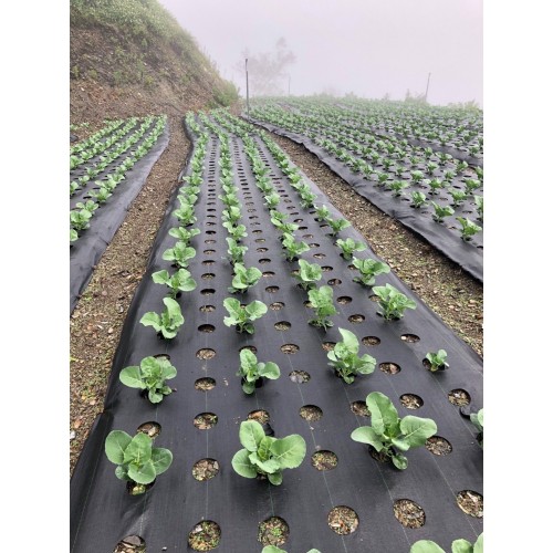 FF Weed Control Mat / 4