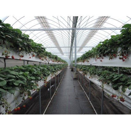 FF Weed Control Mat / 5