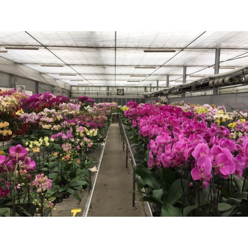 JA Energy-Saving Cloth / 4