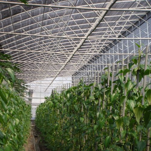 PA Grade P Shade Net / 2