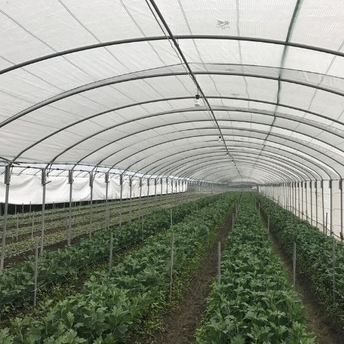 LB Grade B Shade Net / 3