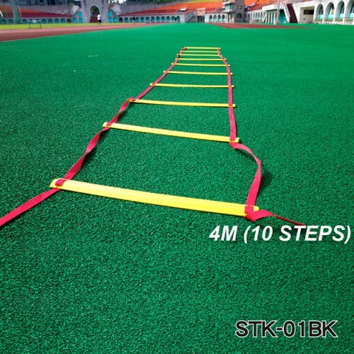 AGILITY LADDER WITH CONE HURDLE(STK-01BK) / 2