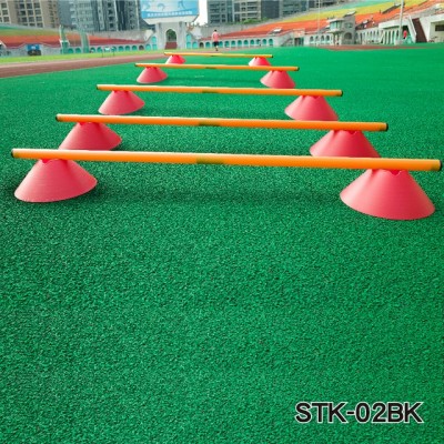 AGILITY LADDER WITH CONE HURDLE (STK-02BK)