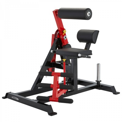 PL2400 Abdominal Crunch and Back Extension