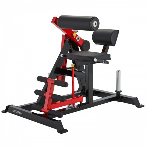 PL2400 Abdominal Crunch and Back Extension / 2