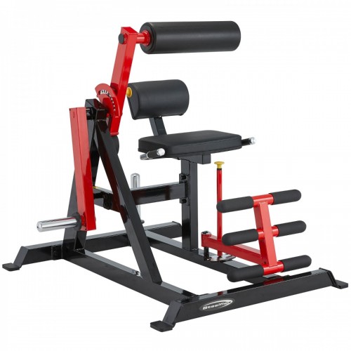 PL2400 Abdominal Crunch and Back Extension / 3