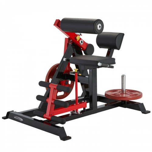 PL2400 Abdominal Crunch and Back Extension / 7