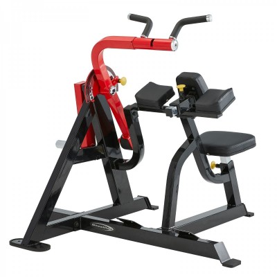 PL2600 Biceps Curl and Triceps Extension