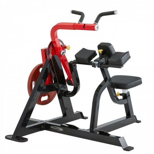 PL2600 Biceps Curl and Triceps Extension / 3