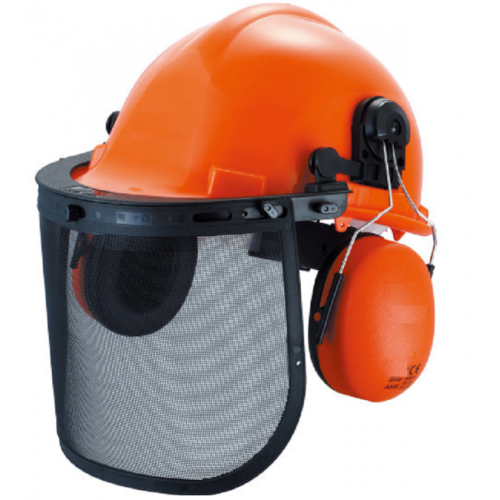 Head & Hearing Combination