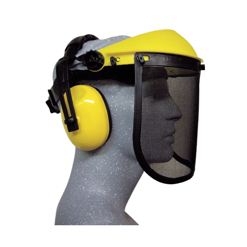 Face & Hearing Combination